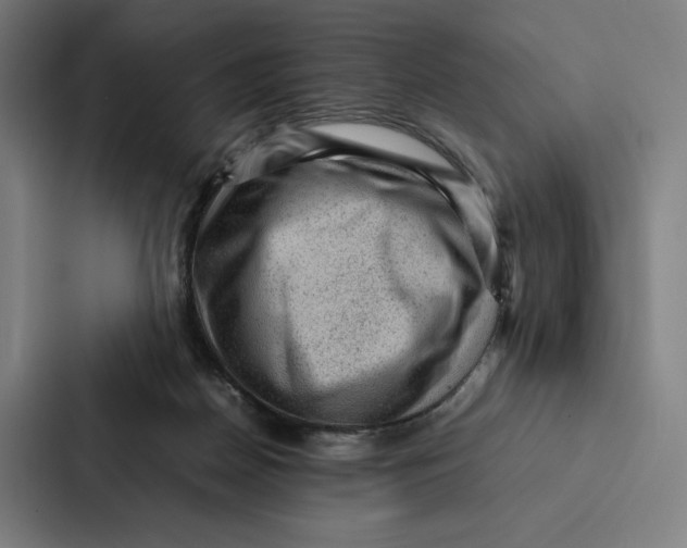 X0000087310170200705112124