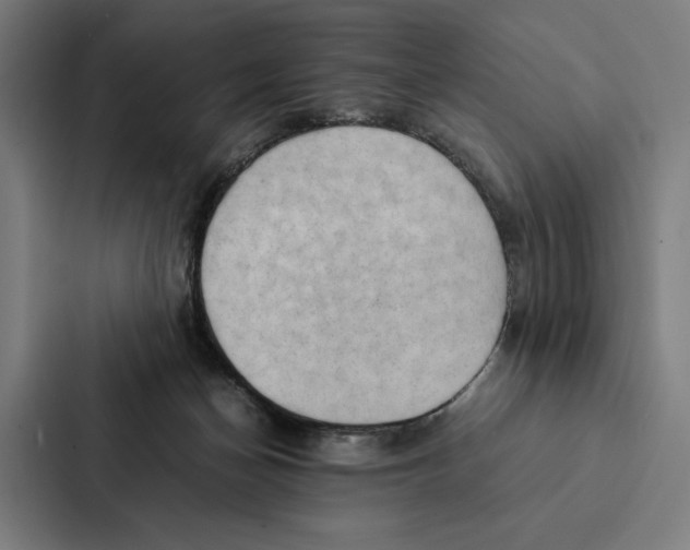 X0000087310174200705112124