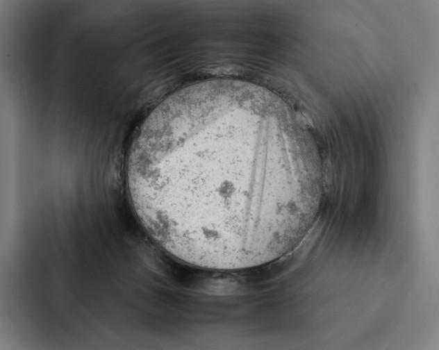 X0000087310175200705112124