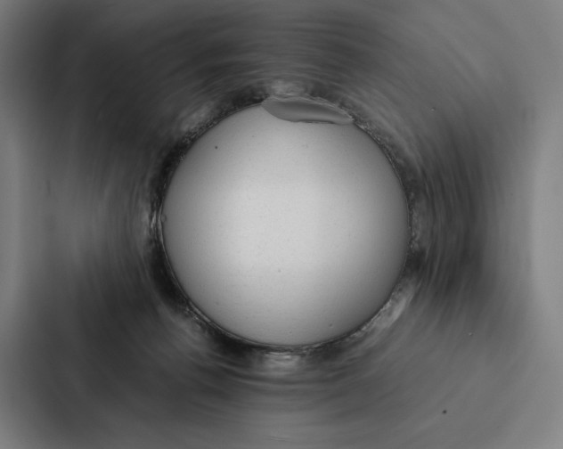 X0000087310176200705112124