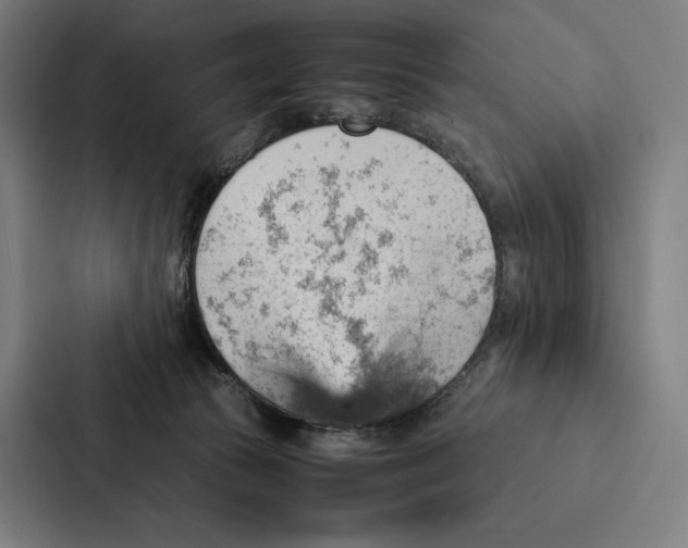 X0000087310177200705112124