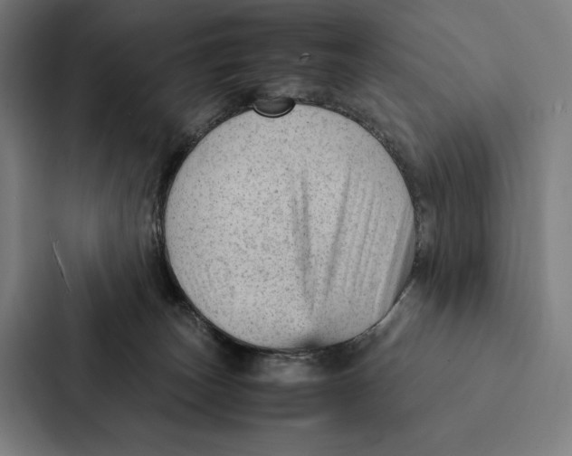 X0000087310179200705112124