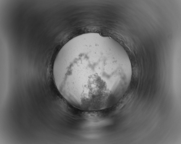 X0000087310181200705112124