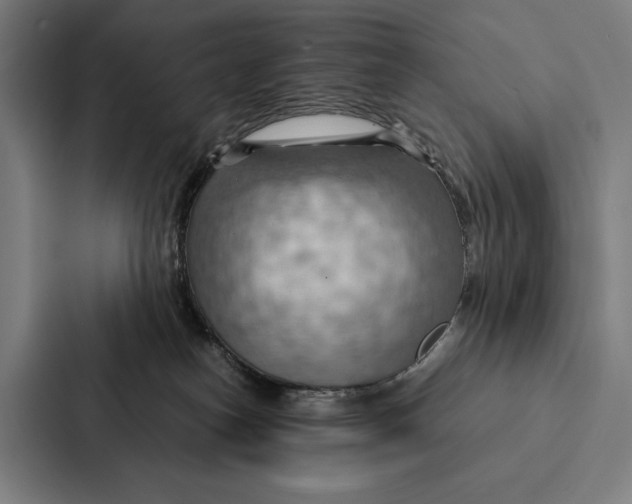 X0000087310182200705112124