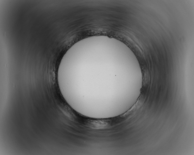 X0000087310183200705112124