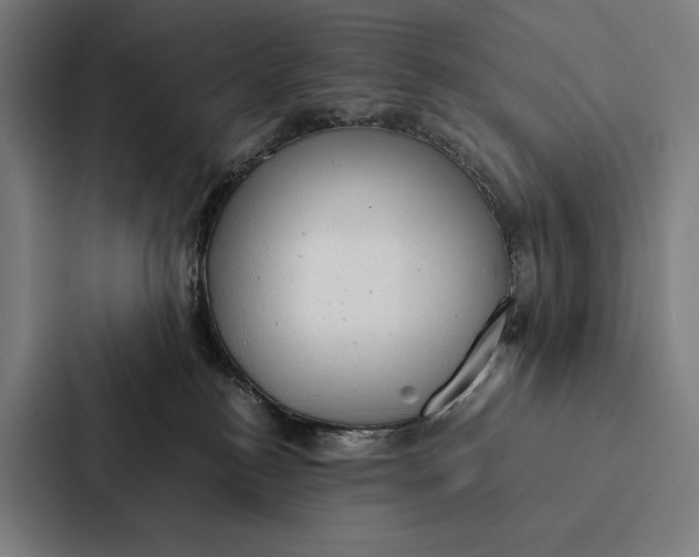 X0000087310184200705112124