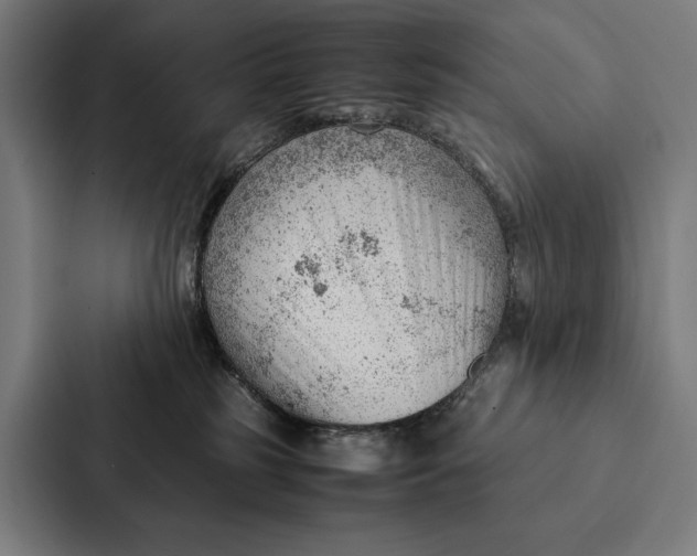 X0000087310185200705112124