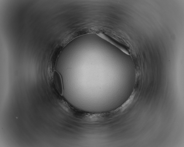 X0000087310186200705112124