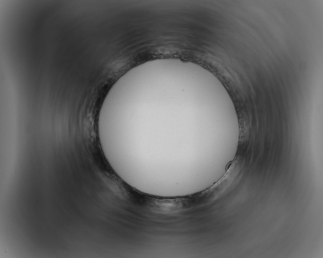 X0000087310187200705112124