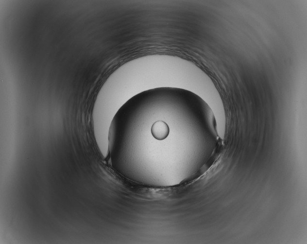 X0000087310188200705112124