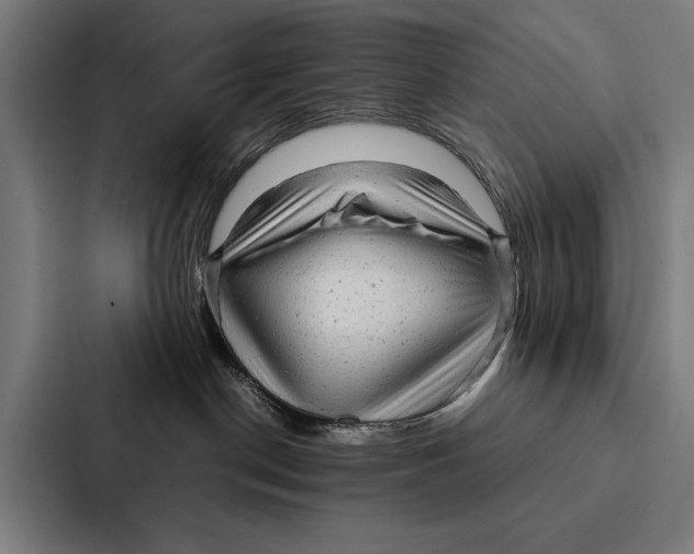 X0000087310190200705112124