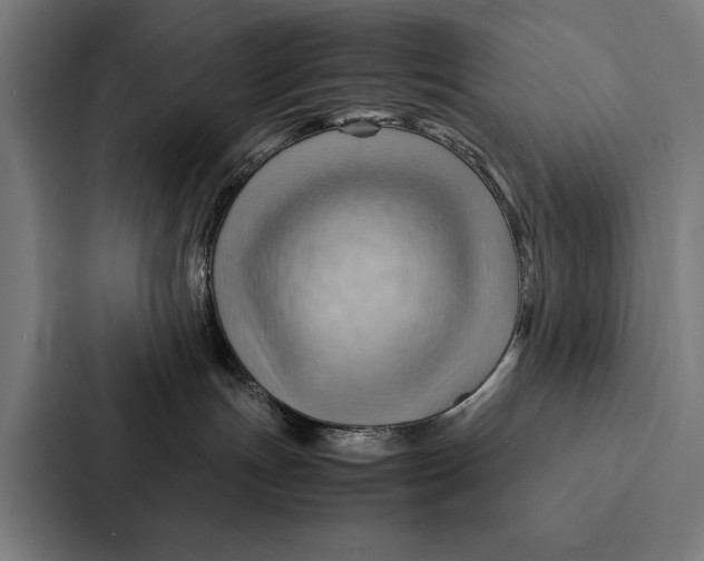 X0000087310191200705112124