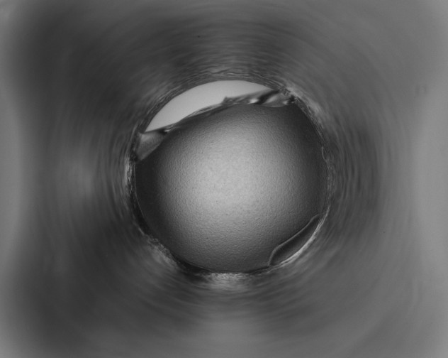 X0000087310192200705112124