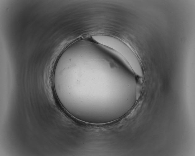 X0000087310193200705112124