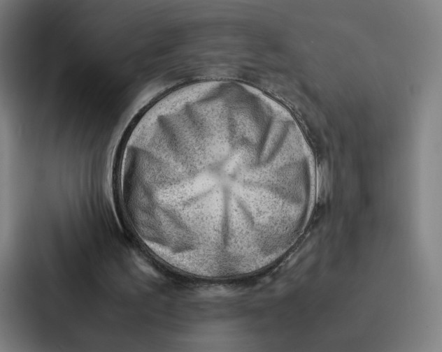 X0000087310195200705112123