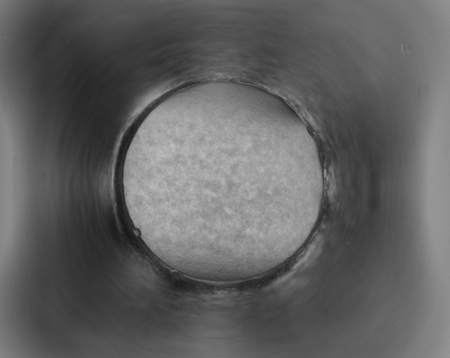 X0000087310196200705112123