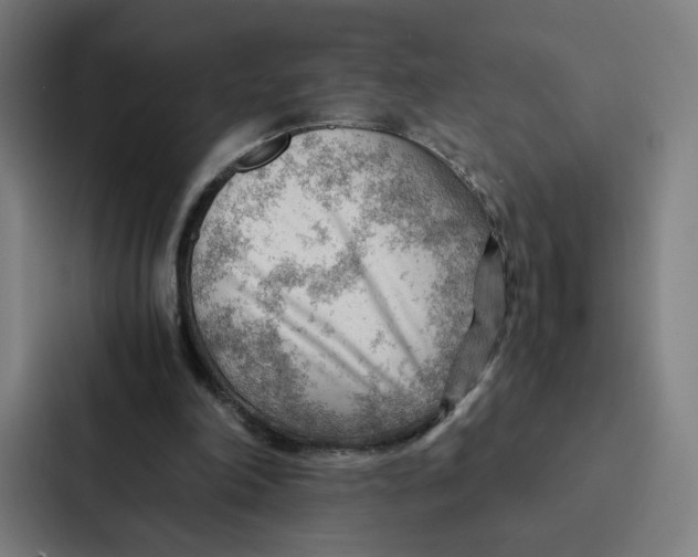 X0000087310198200705112123