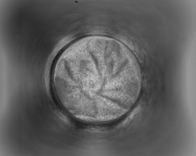 X0000087310199200705112123