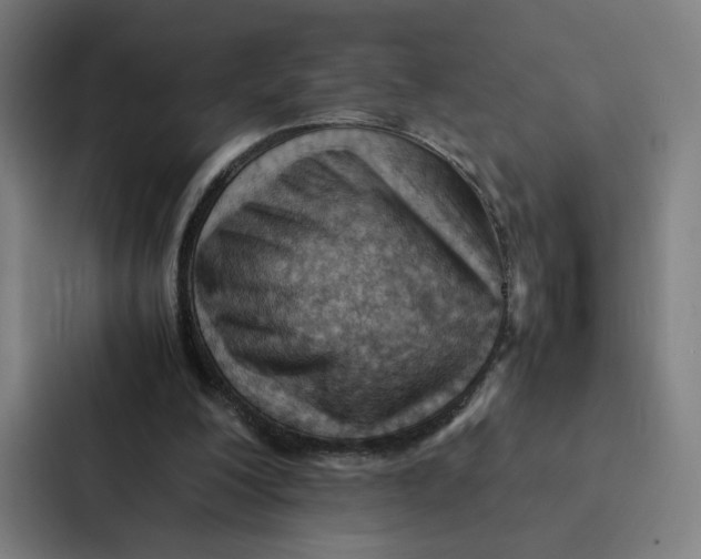 X0000087310200200705112123