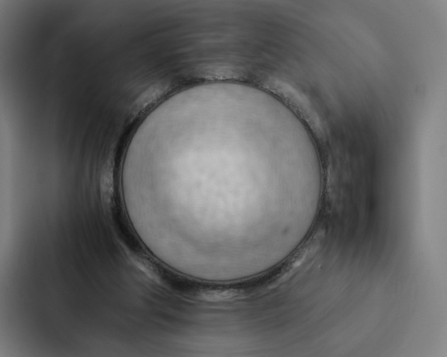 X0000087310202200705112123