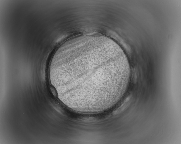 X0000087310203200705112123