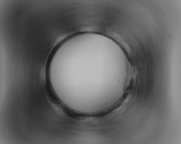 X0000087310204200705112123