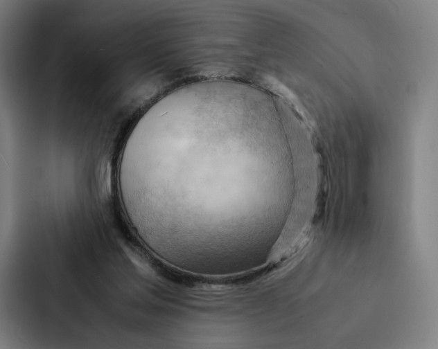 X0000087310205200705112123