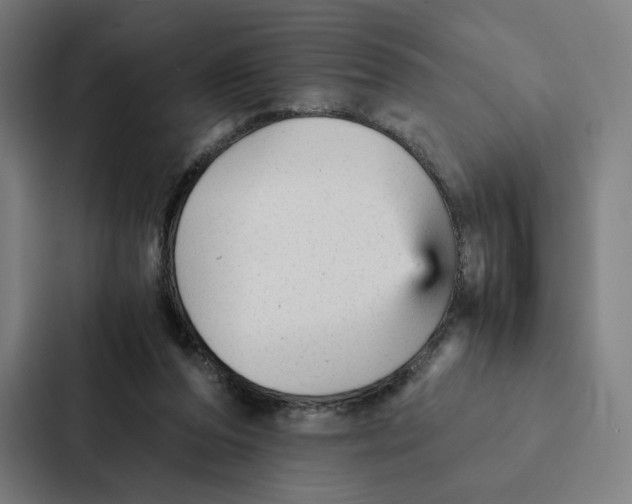 X0000087310208200705112123