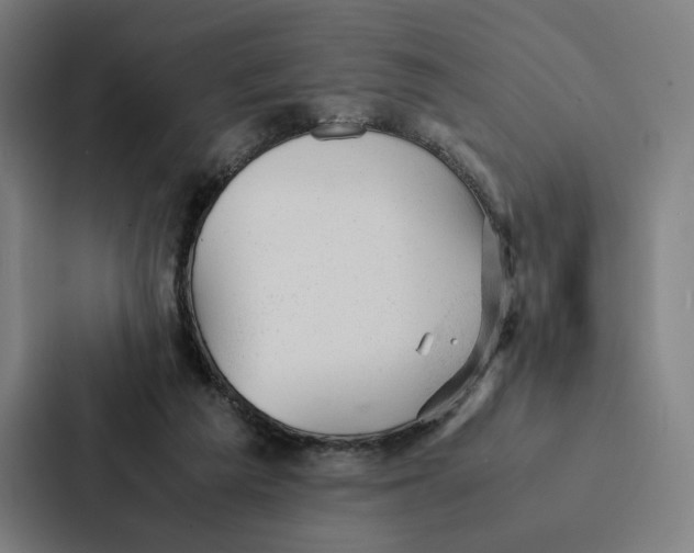 X0000087310209200705112123