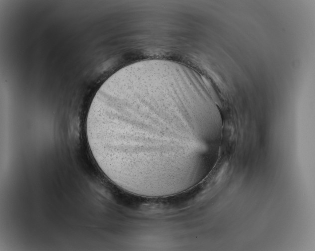 X0000087310211200705112123