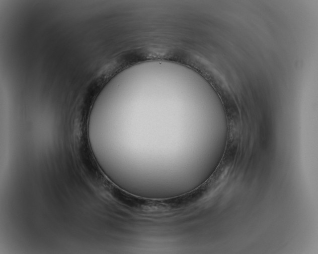 X0000087310215200705112123