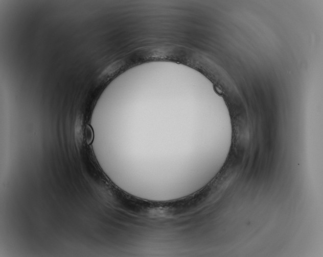 X0000087310216200705112123