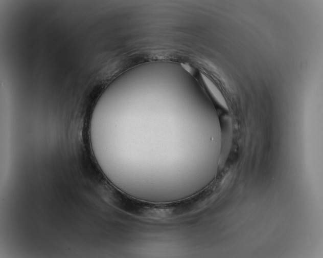 X0000087310217200705112123