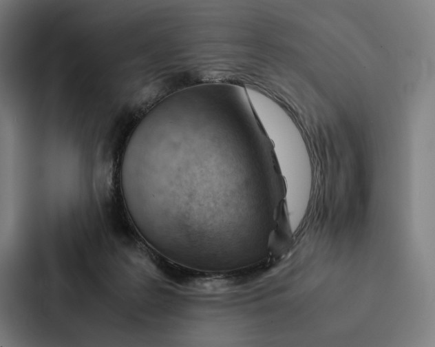 X0000087310219200705112123