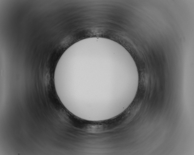 X0000087310220200705112123