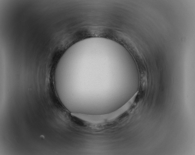 X0000087310221200705112123