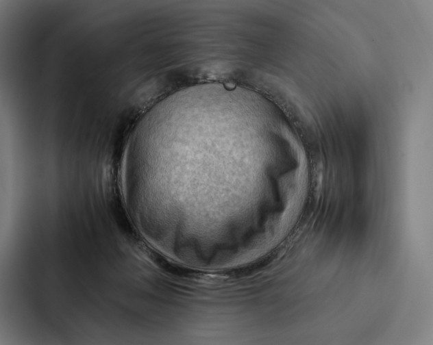 X0000087310222200705112123