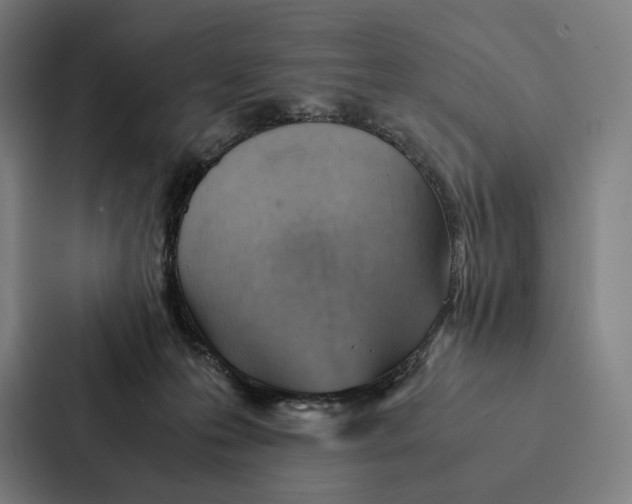 X0000087310223200705112123