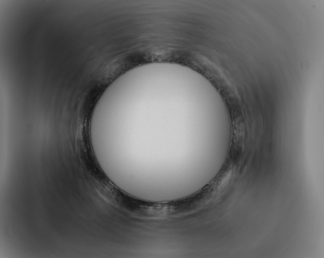 X0000087310225200705112123