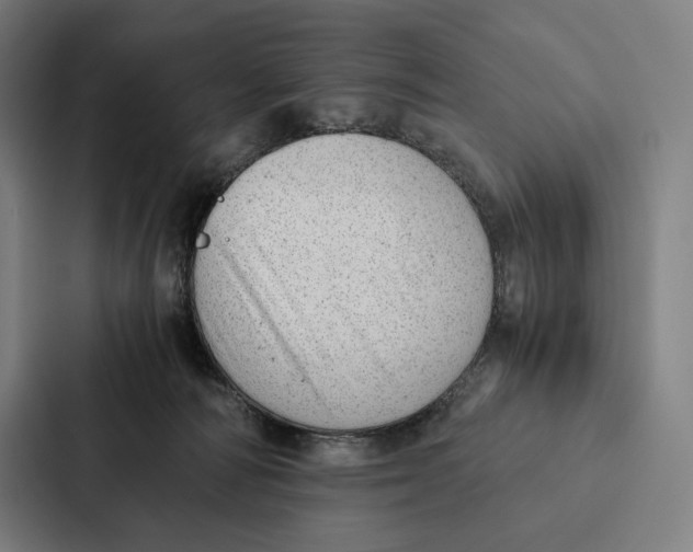 X0000087310226200705112123