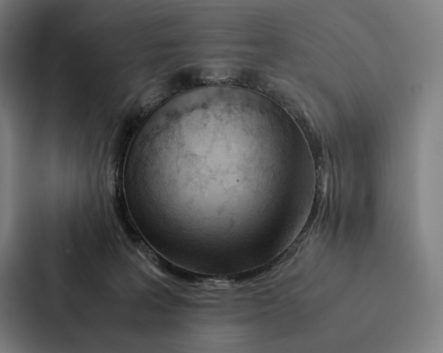 X0000087310227200705112123