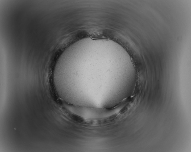 X0000087310229200705112123