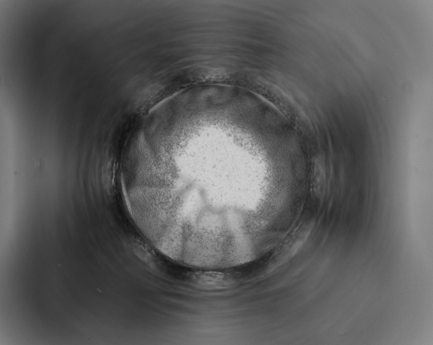 X0000087310230200705112123