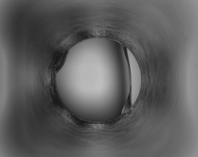 X0000087310233200705112123