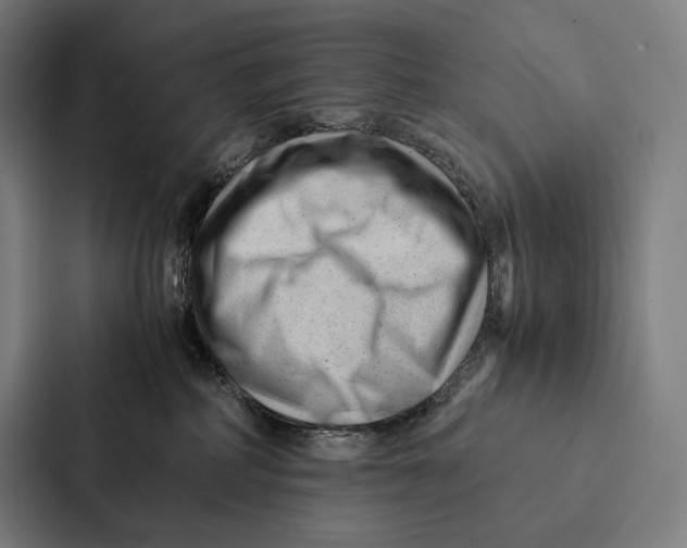 X0000087310234200705112123