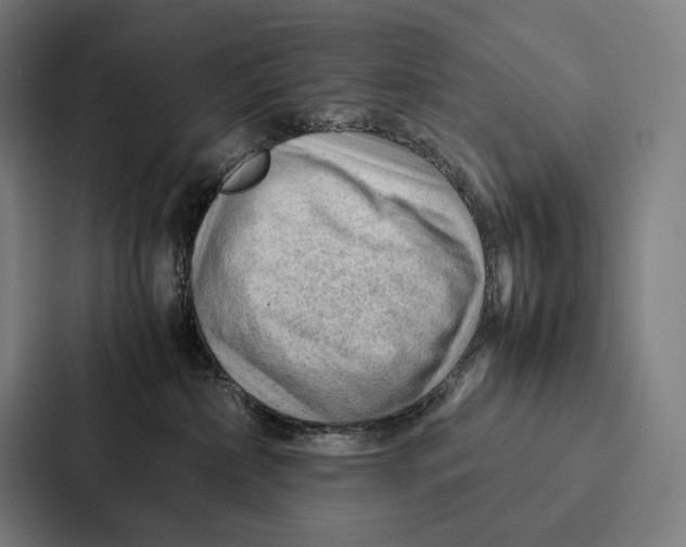 X0000087310236200705112123