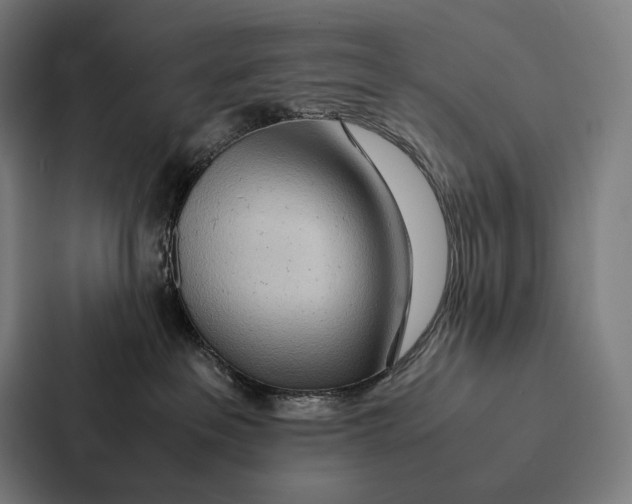 X0000087310237200705112123