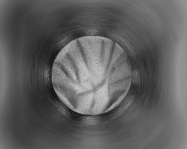 X0000087310238200705112123