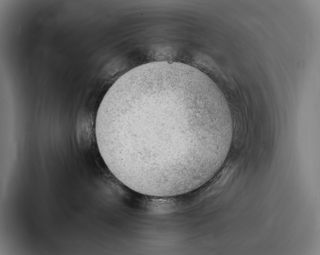 X0000087310240200705112123