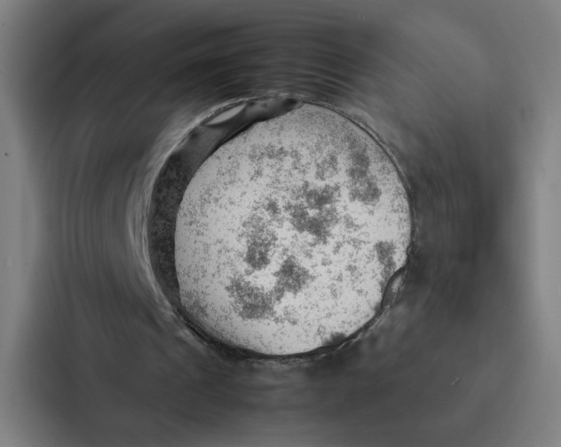 X0000087310241200705112122